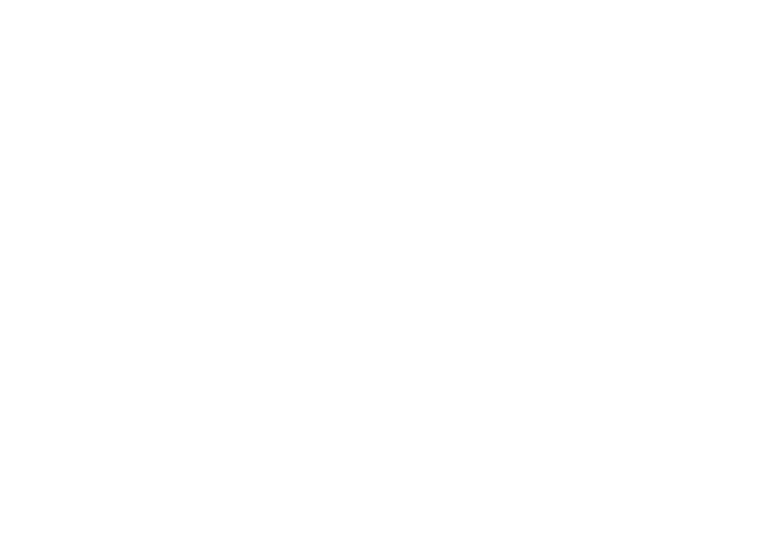 Leader Connection